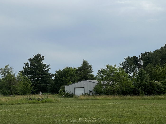 M-60 Drive-In Theatre - July 2 2022 Photo